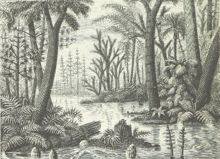 Artist's conception of Carboniferous life