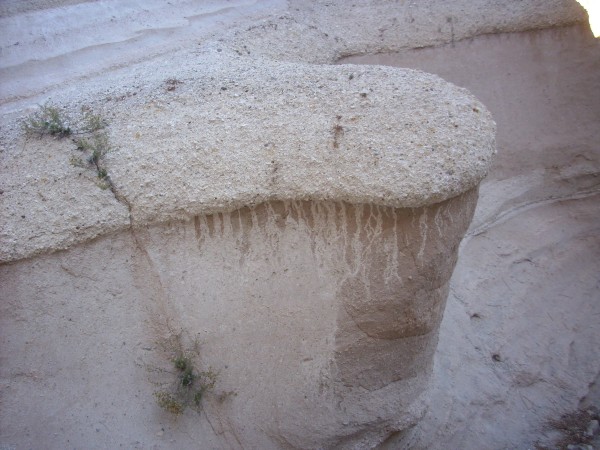 Mushroom structure