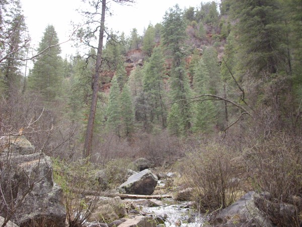 Abo Formation cliffs
        over the East Fork, Jemez River