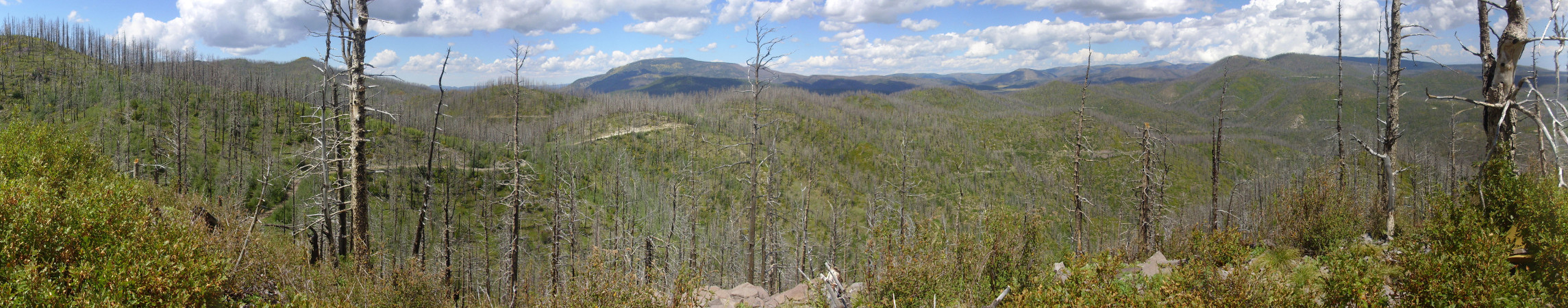 Panorama east of Aspen Ridge