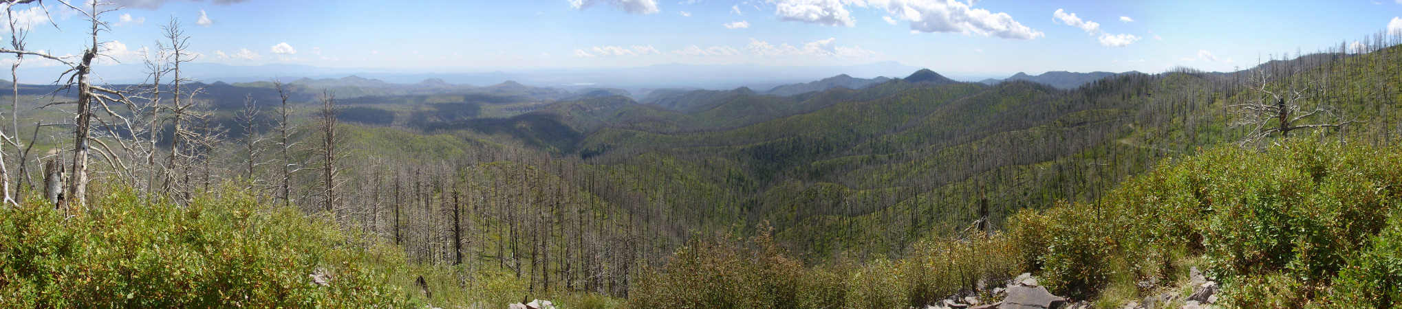 Panorama from knoll east of Aspen Ridge