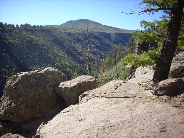 Tshirege
          Member in upper Los Alamos Canyon