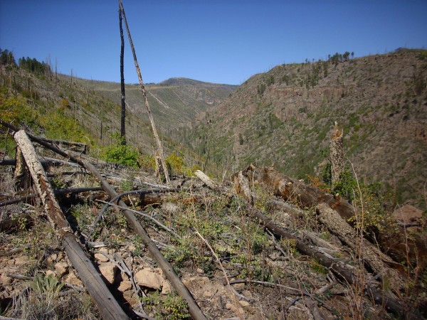Tshirege Member in upper Los Alamos Canyon