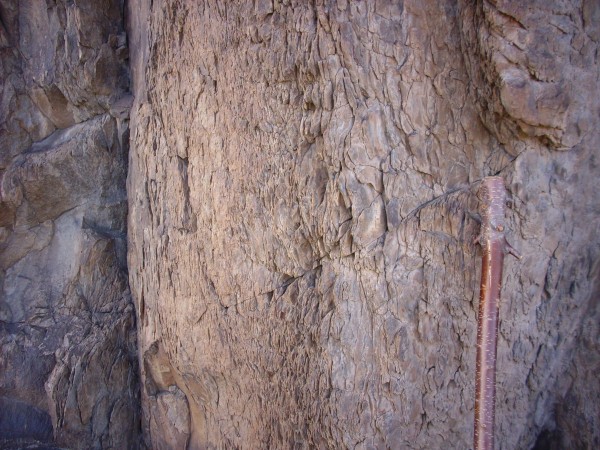 Foliated
        rock in dome?