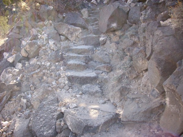Blue Dot Trail steps