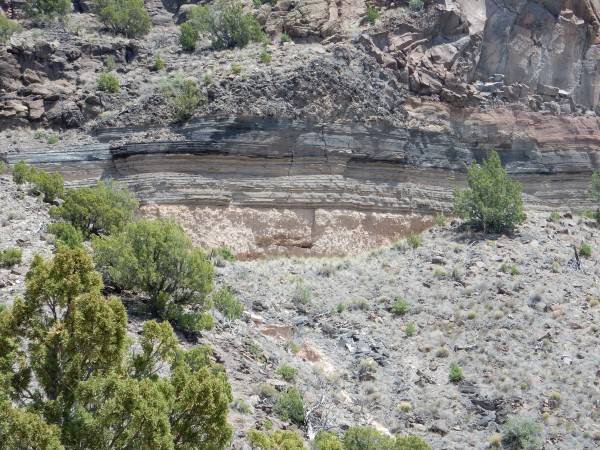 Beds at base of cap of Buckman Mesa