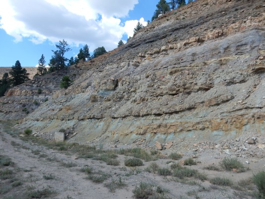 Burro Canyon
          Formation