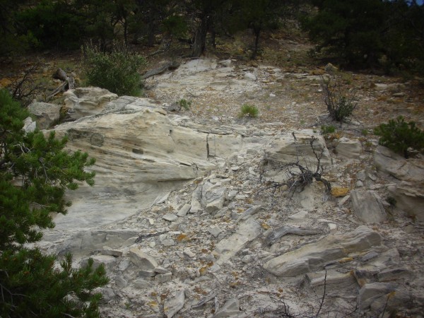 Burro Canyon
          Formation