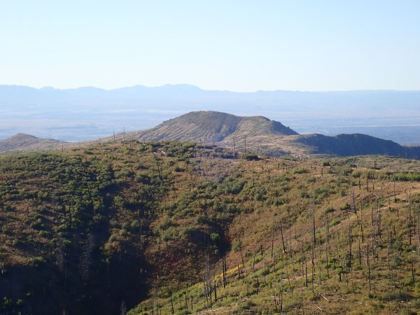 Cerro Balitas