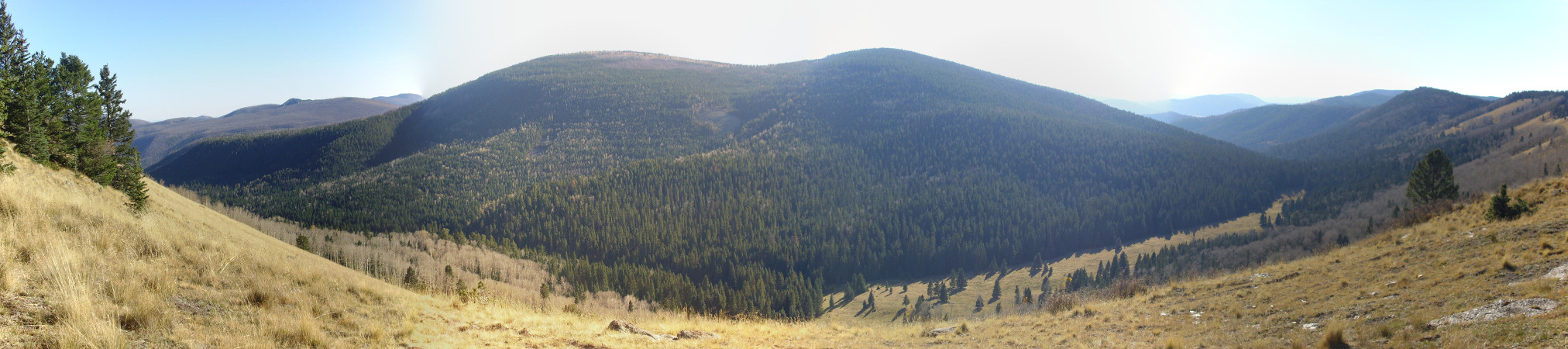 Cerro
        Toledo