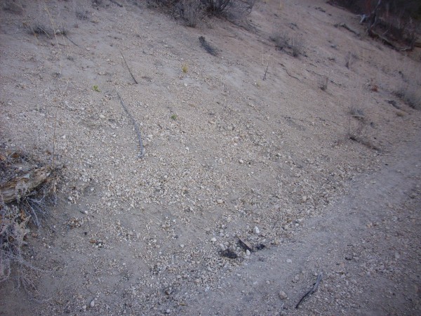 Cerro Toledo pumice