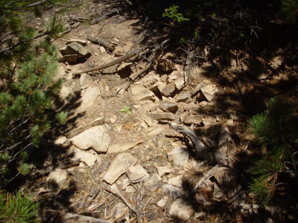 Cerro
          Trasquilar