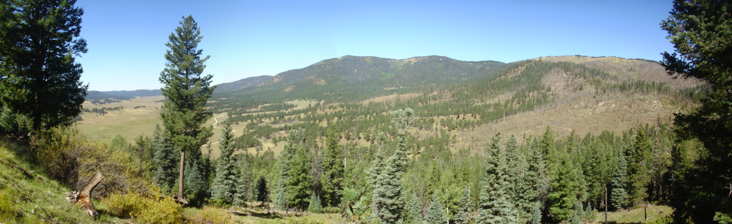 Reentrant
          panorama
