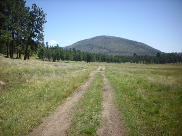Cerros del
          Abrigo