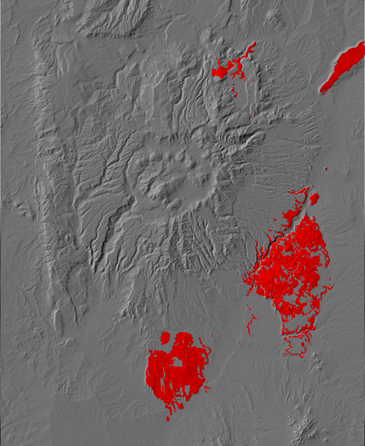 Digital relief map of El Alto, Cerros del Rio, and
        Santa Ana Mesa exposures in the Jemez Mountains