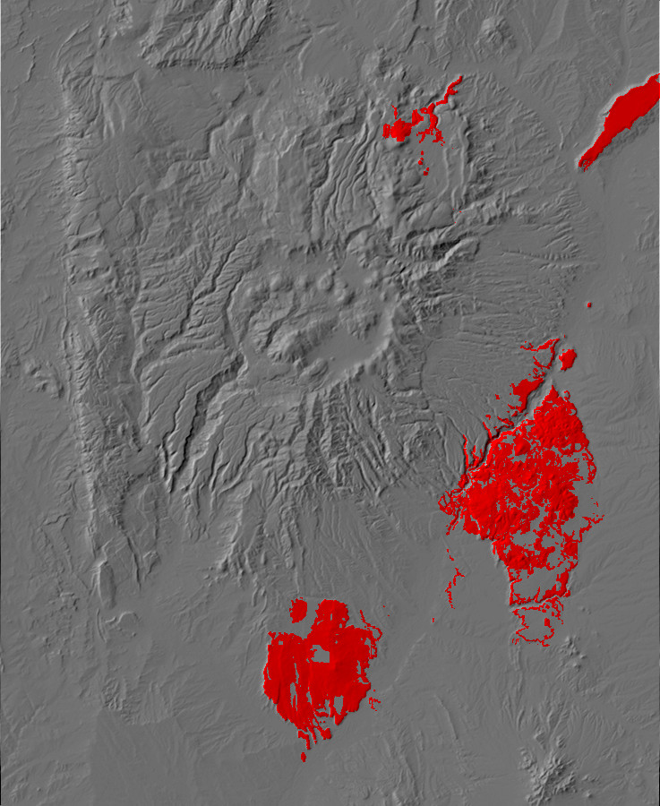 Digital relief map of El Alto, Cerros del Rio, and
        Santa Ana Mesa exposures in the Jemez Mountains