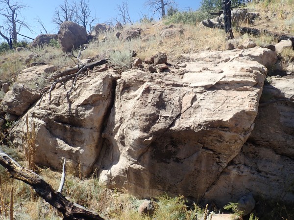 Chamita
          Formation