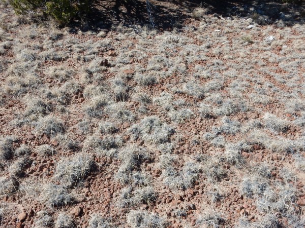 Colorado Peak
          cinder beds