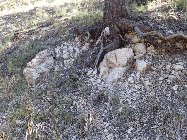 Deer Canyon Rhyolite tuff bed