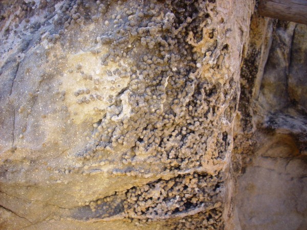 "Blueberries" in Entrada Sandstone