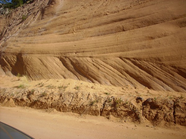 Entrada Sandstone in
        road cut
