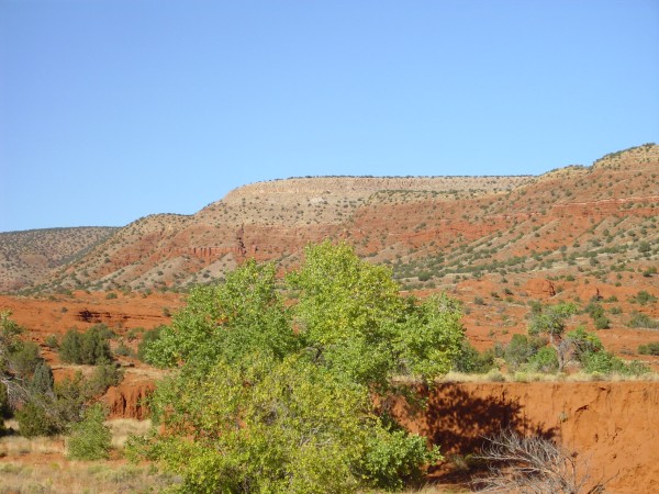 Meseta
        Blanca