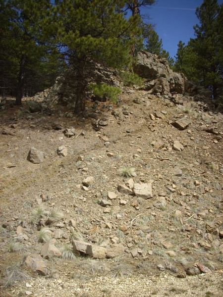 Unaltered and
          hydrothermally altered andesite