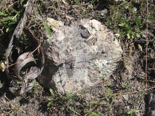 Hydrothermal breccia