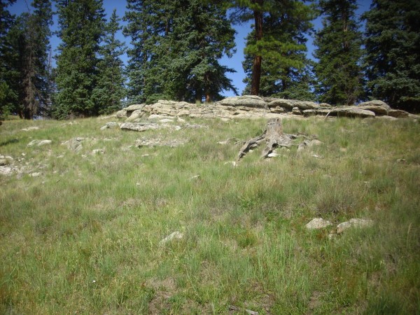 Early lacustrine beds