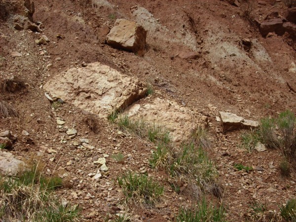 Limestone in Madera Group across from Battleship Rock