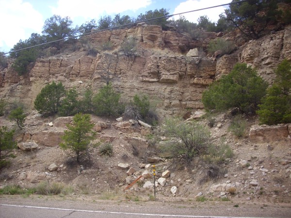 Madera
          Group on side of road