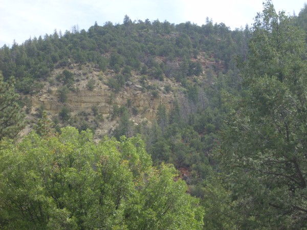 Madera
          limestone