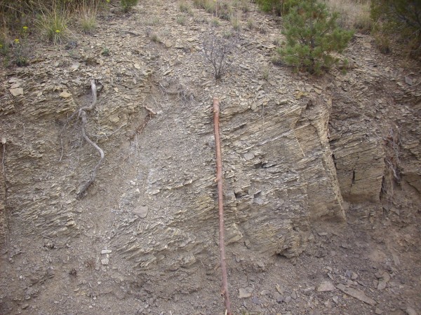 Mancos Shale
          by trail