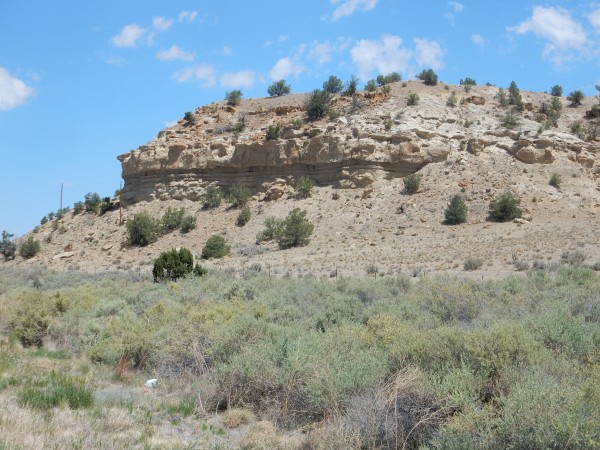 Point Lookout
          Sandstone