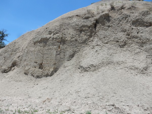 Pictured
          Cliffs or Lewis Shale?