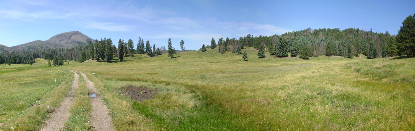 Megabreccia