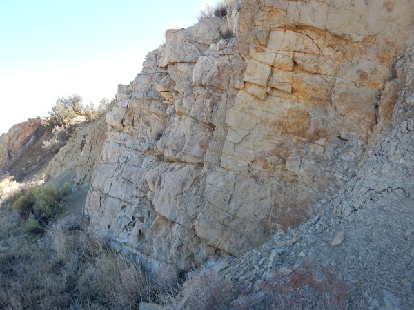 Menefee Formation
        near Cerillos