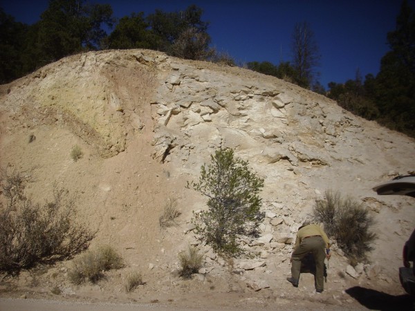 Todilto Formation