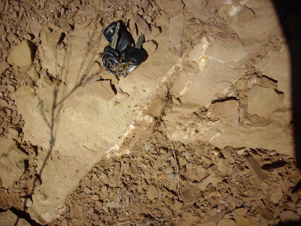 Calcite veins
        in Mesa Montosa Member
