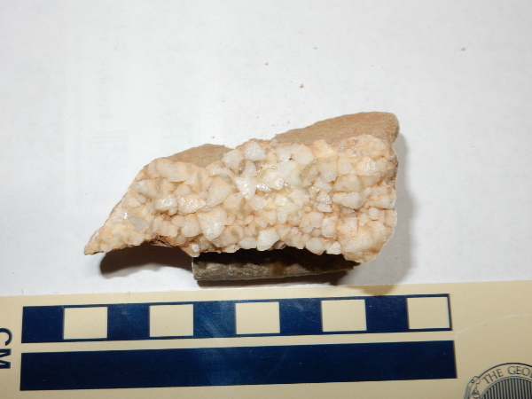 Samples of Mesa Montosa Member