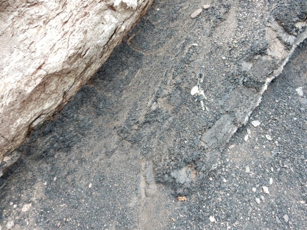 Contact of
          Menefee Formation with Cliff House Formation