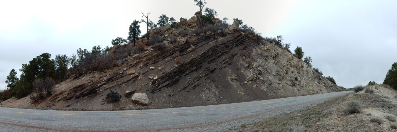 Menefee Formation
        near Regina