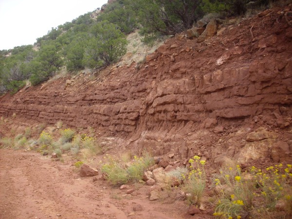 Moenkopi
          Formation