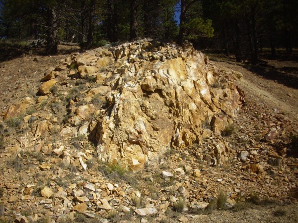 altered
          andesite