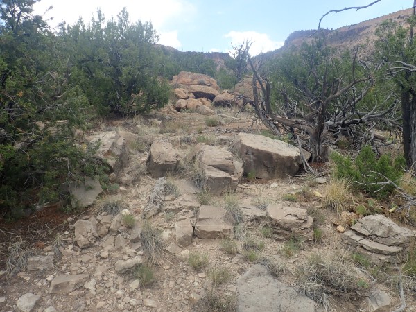 Sandia
          Formation