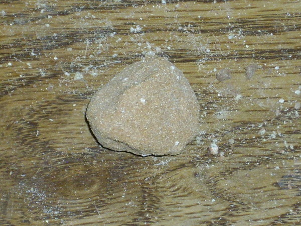 Painted Desert
        sandstone