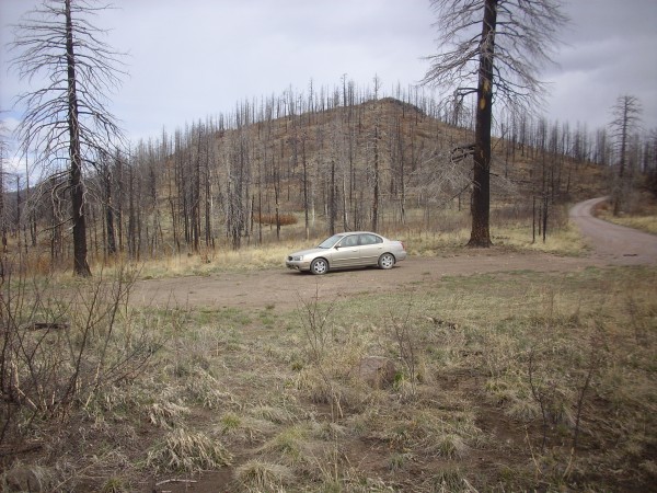 Pullout underlain by Rabbit Mountain debris flow