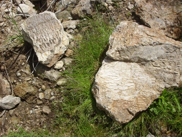 Rabbit Mouintain
          rhyolite