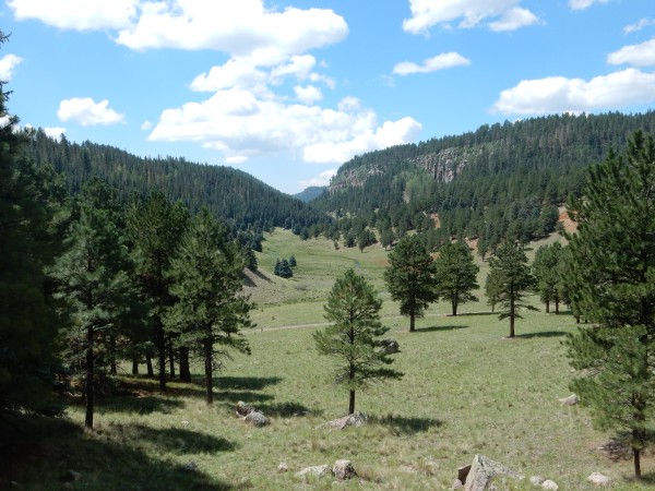 Upper San Antonio Canyon