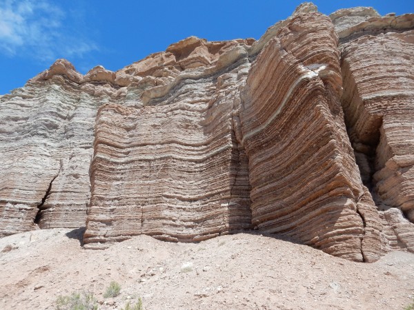 Summerville Formation